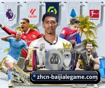 百家乐 APP