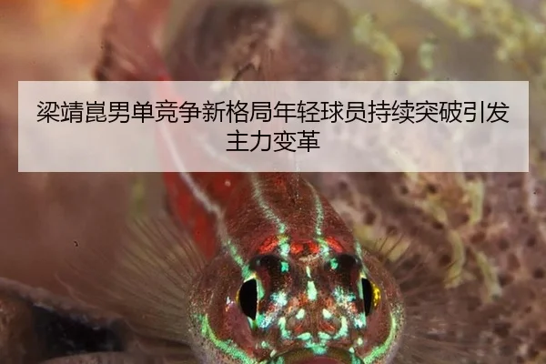 梁靖崑男单竞争新格局年轻球员持续突破引发主力变革